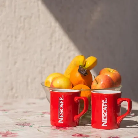 Ivan Apartmán Srima